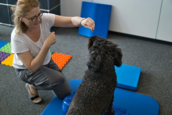 Puli Bewegungstherapie Hundephysiotherapie Heidelberg